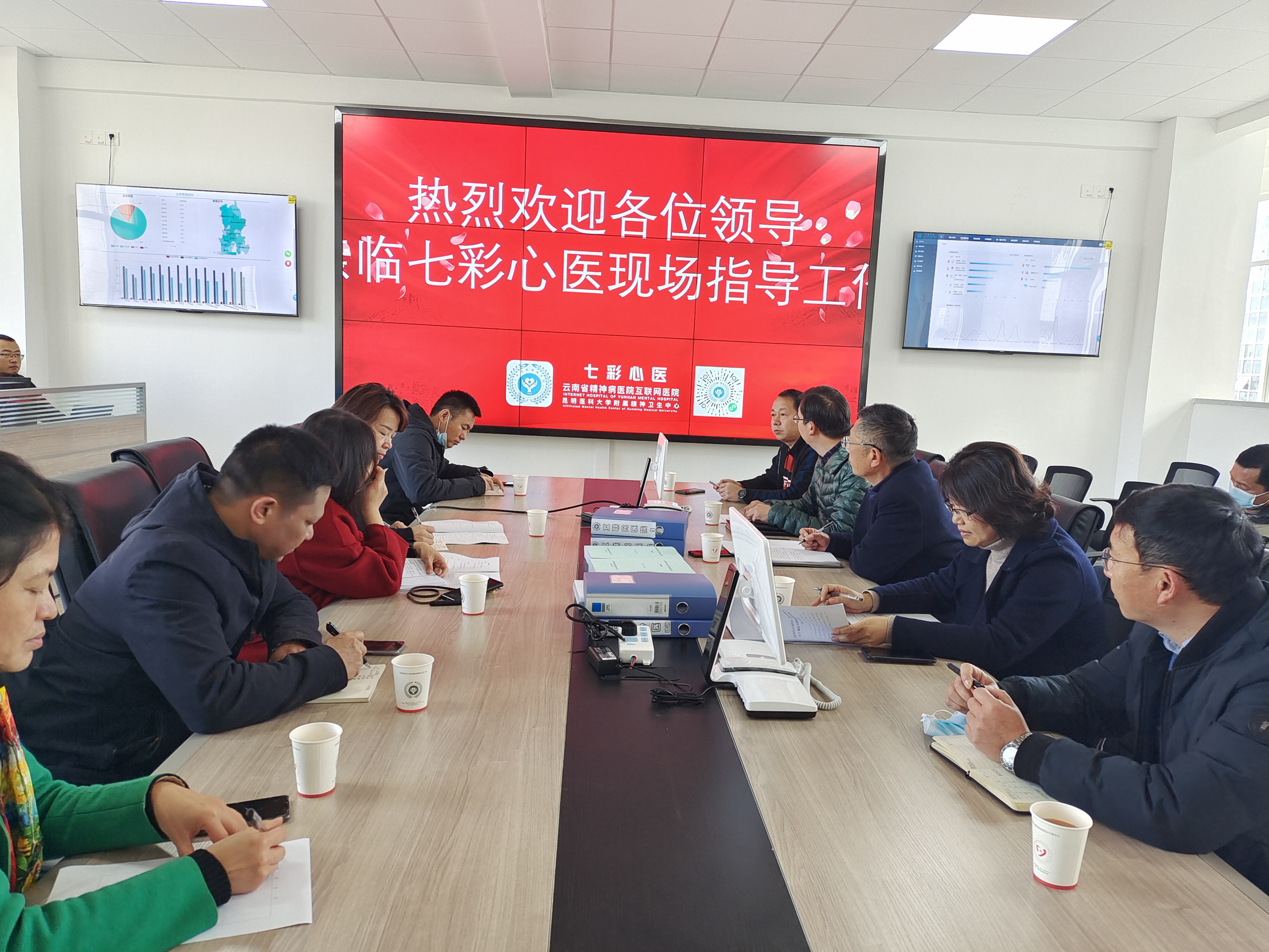 云南省精神病醫(yī)院互聯(lián)網(wǎng)醫(yī)院（七彩心醫(yī)）建設通過階段性評審