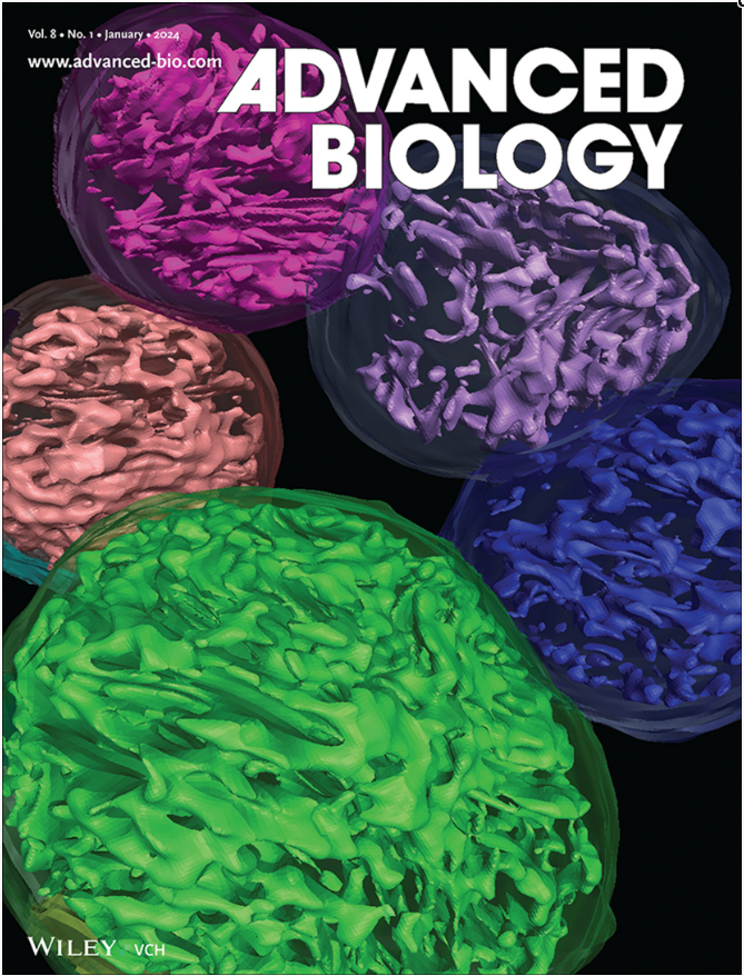 我院在讀研究生張盈盈成功發(fā)表sci論文