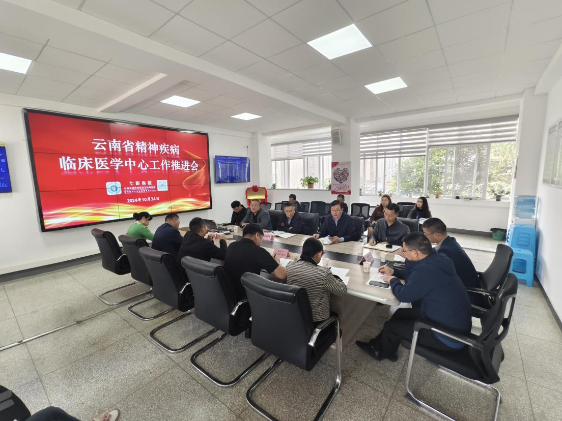 云南省精神疾病臨床醫(yī)學(xué)中心工作推進(jìn)會簡訊
