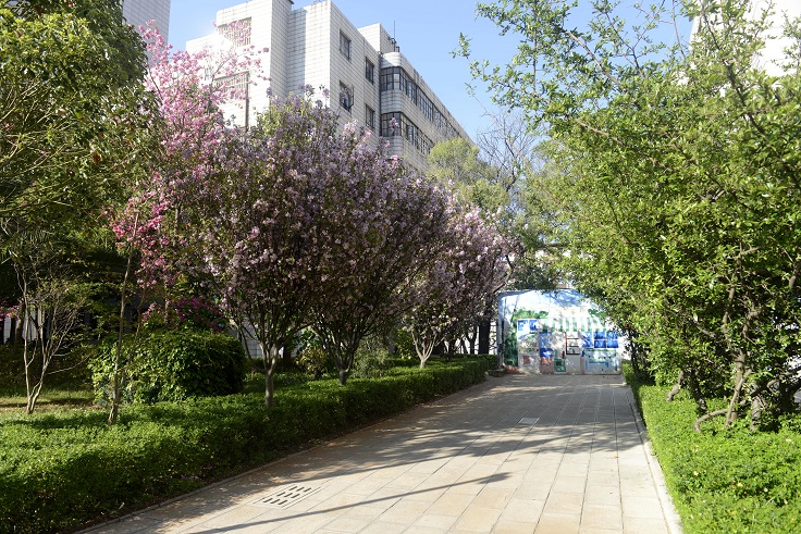 醫(yī)院環(huán)境